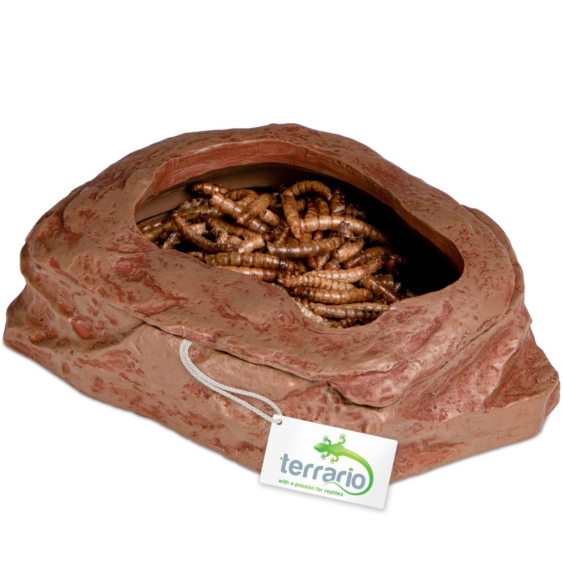 Terrario SplitRock Bowl for pets